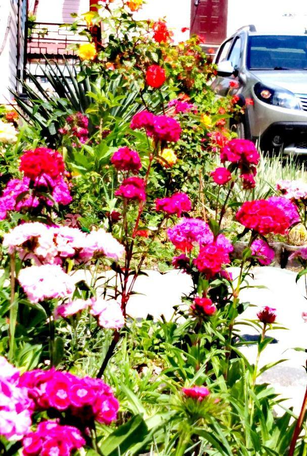 At the seaside Hotell Pizunda Exteriör bild